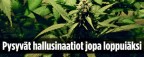 Kuvalinkki